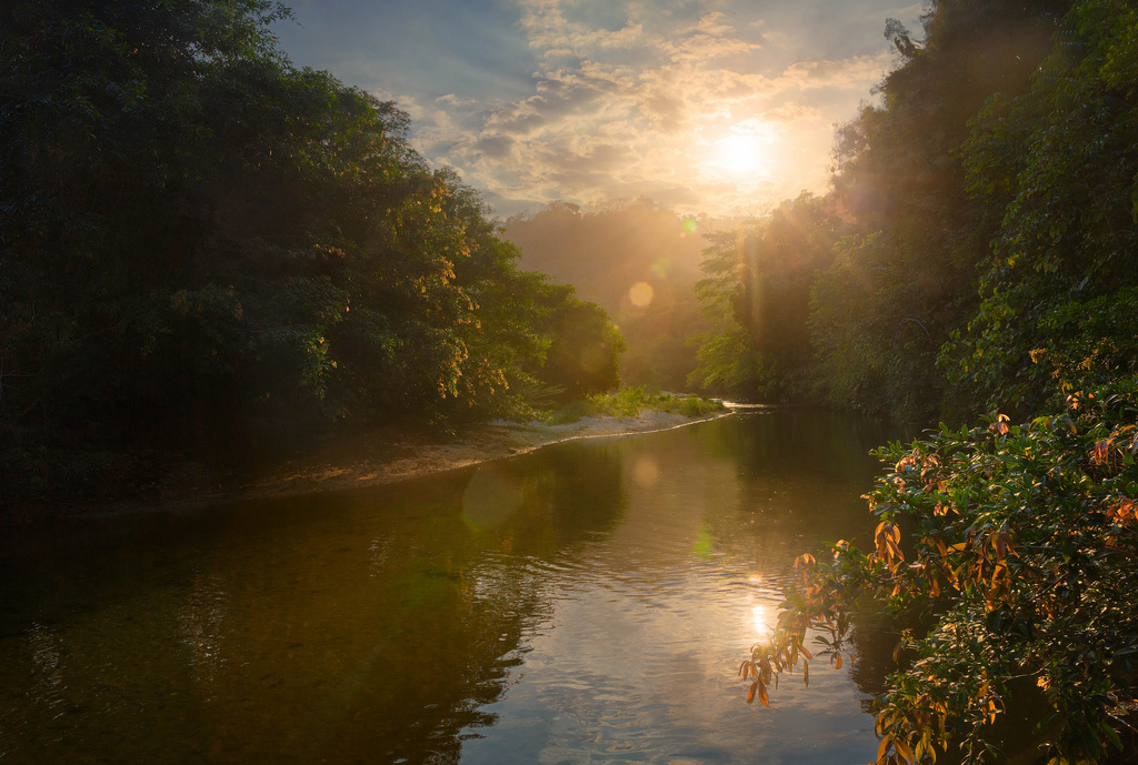 25698498074_ec8bcf6385_b